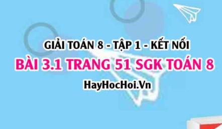 Giải bài 3.1 trang 51 Toán 8 Tập 1 SGK Kết nối tri thức